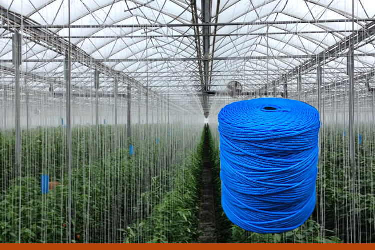Custom Nets